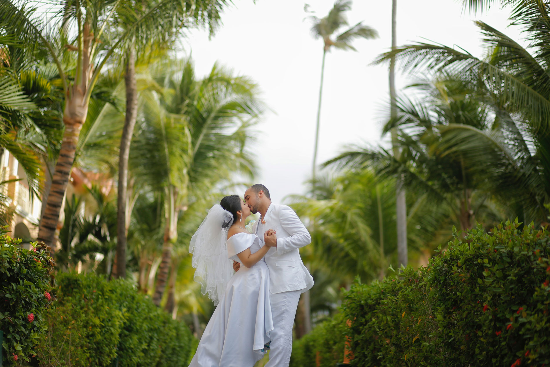 Tropical Wedding photo
