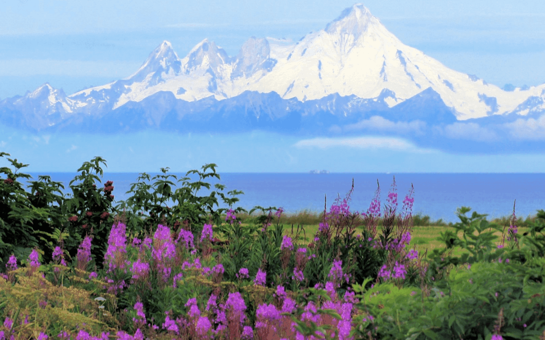 Top Summer Destinations for 2025 – And Why You’ll Love Them