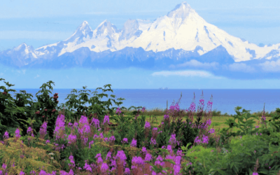 Top Summer Destinations for 2025 – And Why You’ll Love Them