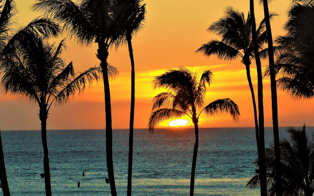 Discover Your Perfect Hawaiian Island Paradise with Travel Concepts
