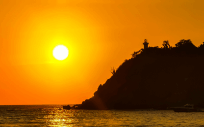 Beyond the Spa: Why 2026 is the Year of the Global Reset